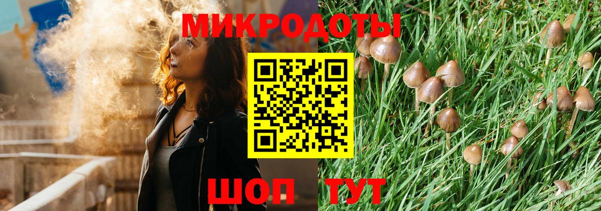 Галлюциногенные грибы ЛСД Мичуринск